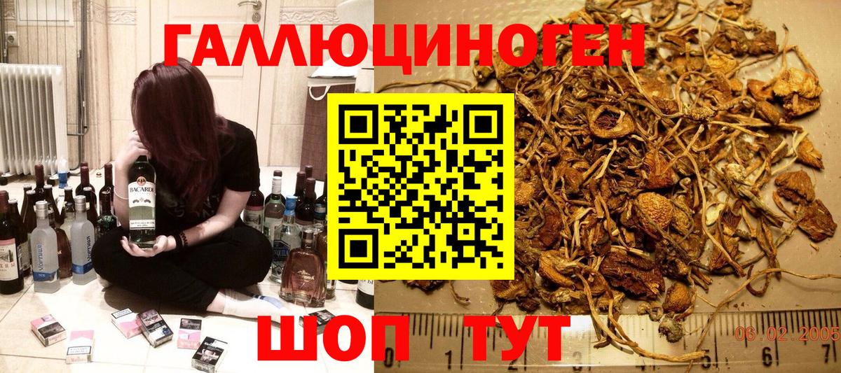 Галлюциногенные грибы Psilocybe Шадринск