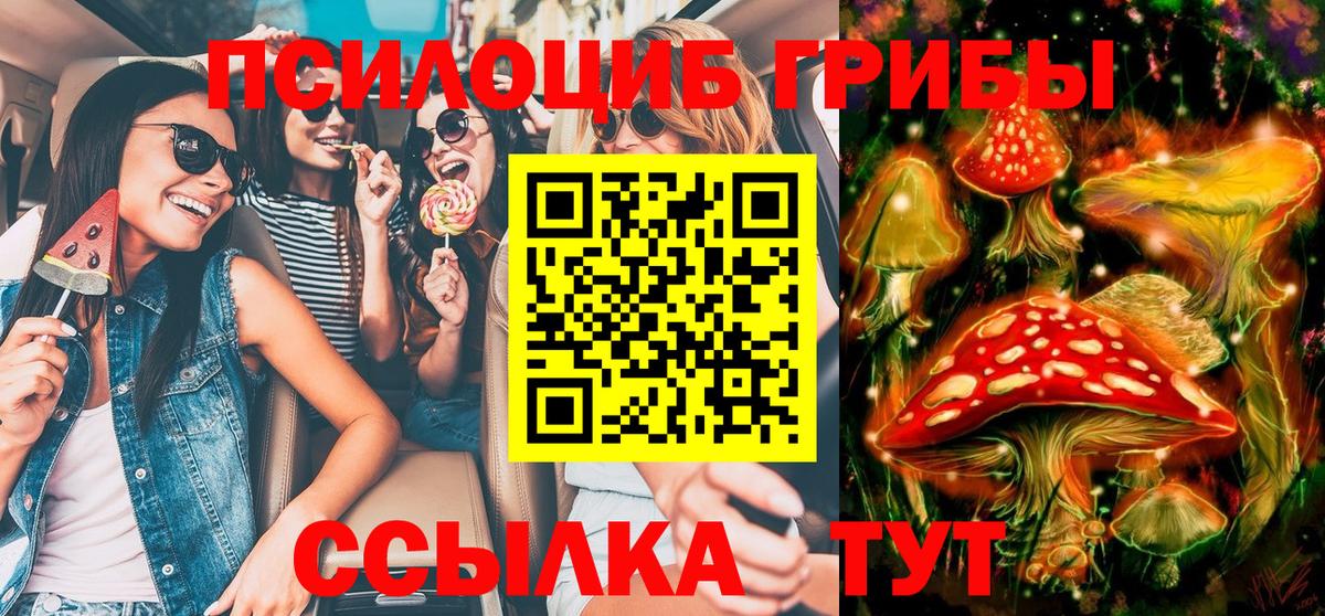 Шадринск  Галлюциногенные грибы GOLDEN TEACHER  Вход с VPN  Галлюциногенные грибы прущие грибы 